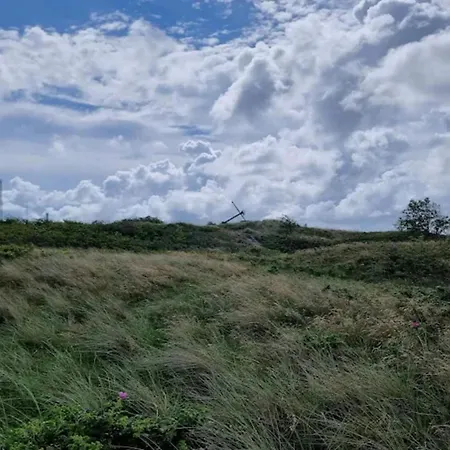 5 Person In Romo-by Traum *