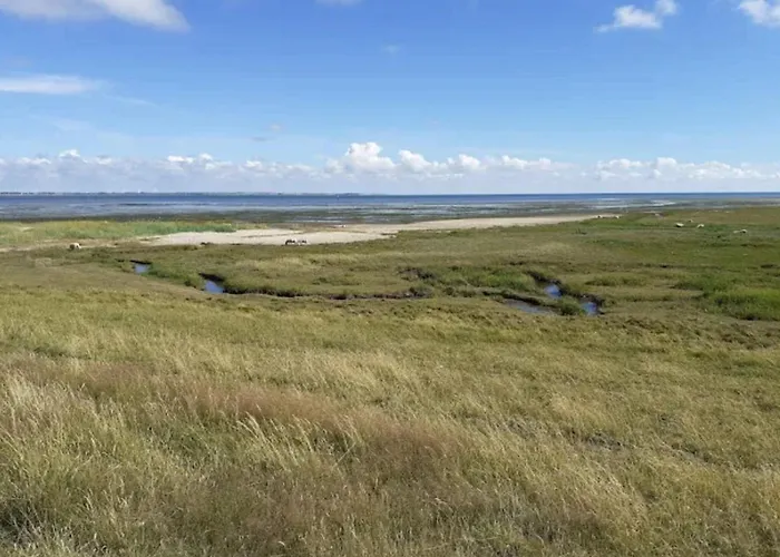 5 Person In Romo-by Traum Lägenhet