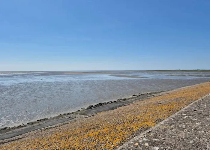 Apartman 5 Person In Romo-by Traum