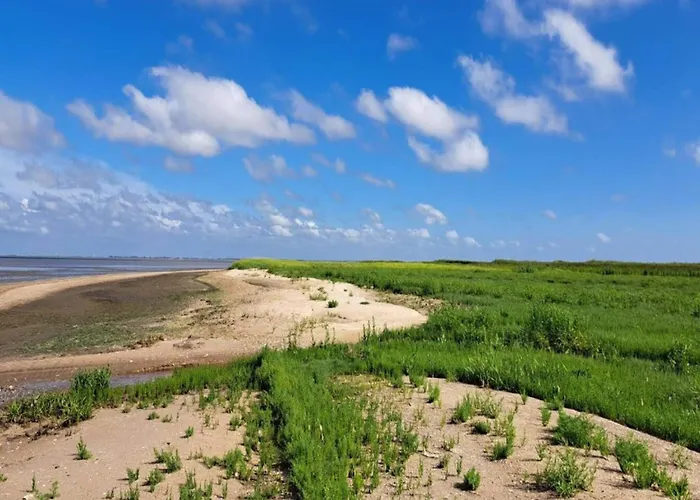 5 Person In Romo-by Traum Sønderby