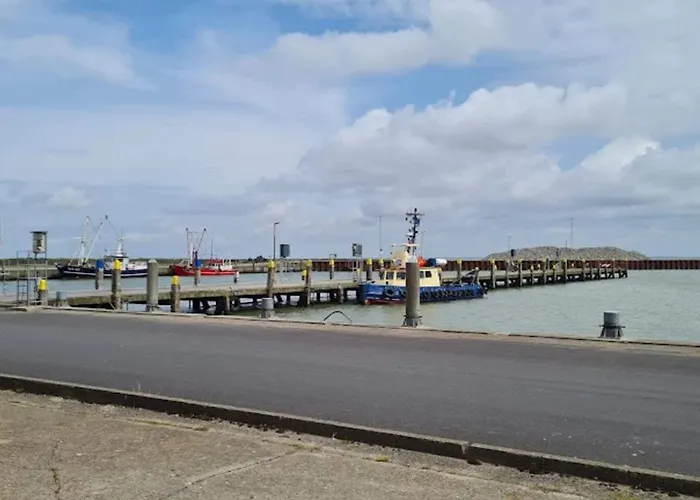 5 Person In Romo-by Traum