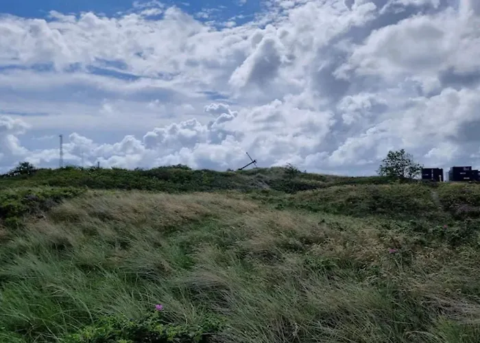 5 Person In Romo-by Traum *