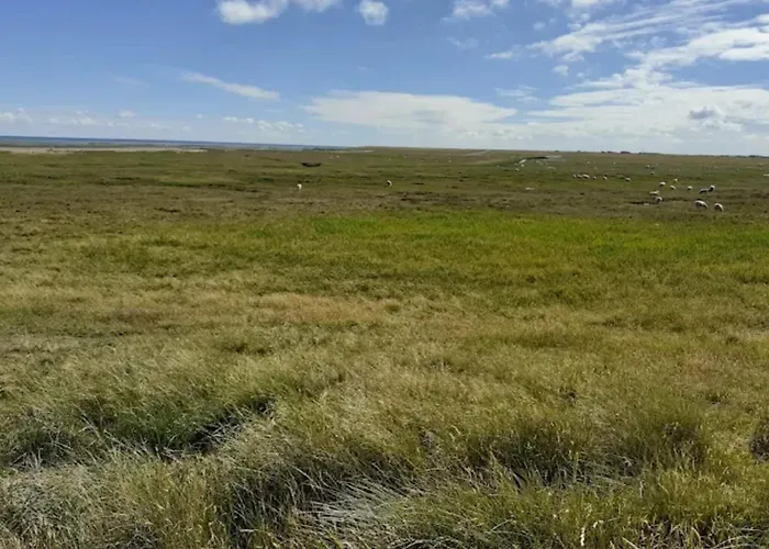 5 Person In Romo-by Traum Sønderby